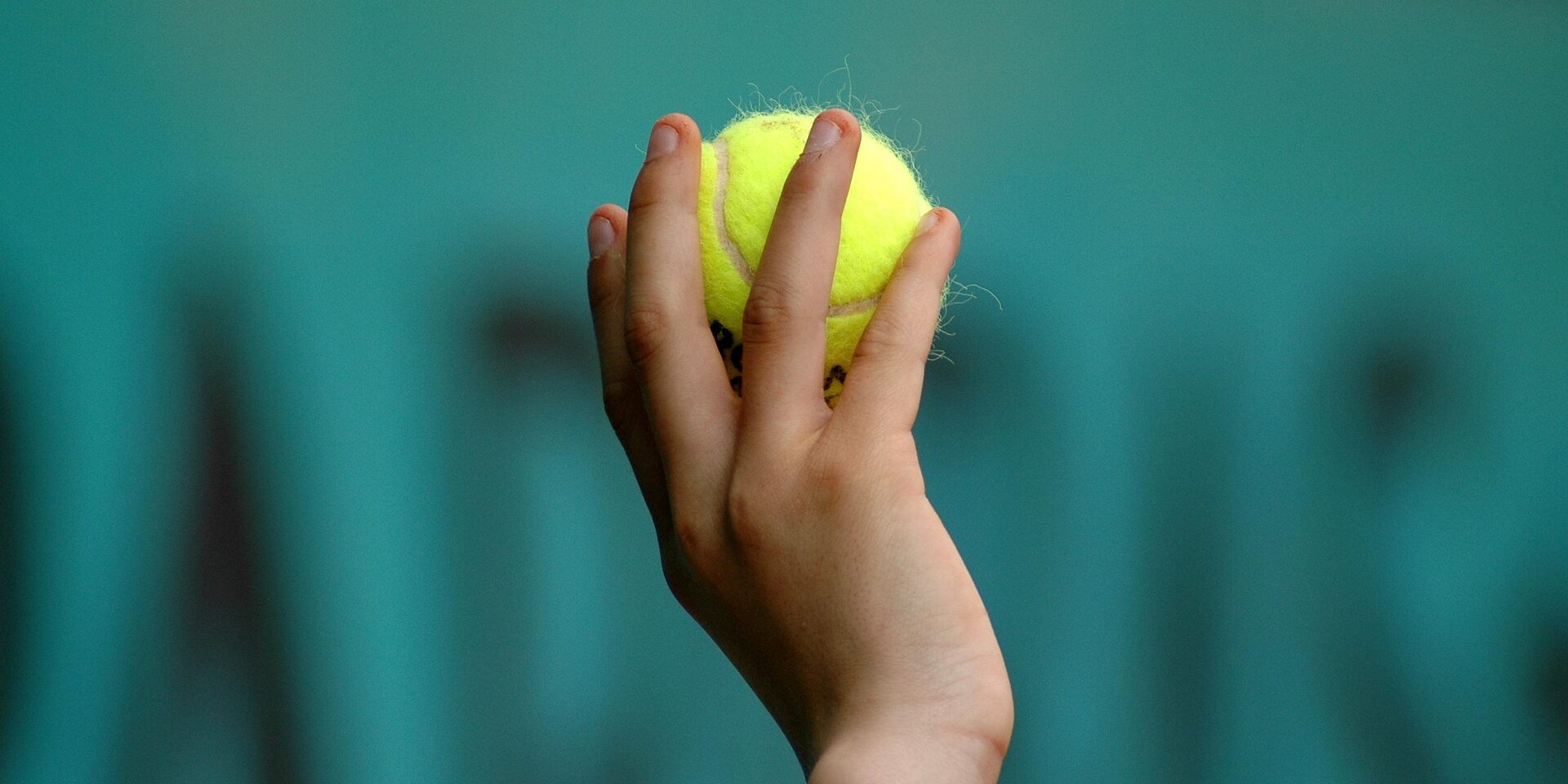 thmilherou-hand-6153440_1920